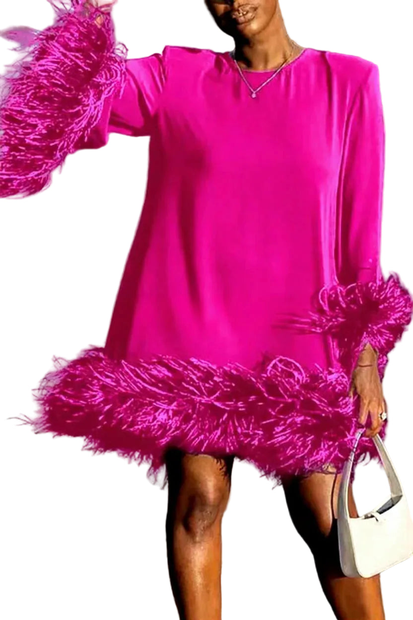Women’s Long Sleeve Mini Dress with Feather Trim